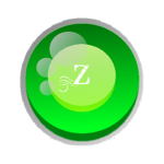 Z Incorporated