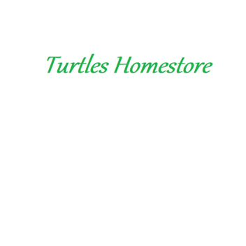 Turtles Home-store (Summer edition)