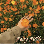 Fairy fieldss