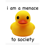 Duck Syndrome