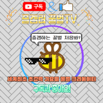 즐거운로블세상