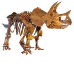 Dinos r the best