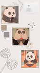 Per salvare i Panda