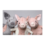 pigy