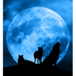 Moonlight_playz group O.o