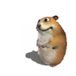 Animated Chomik