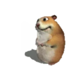 Animated Chomik