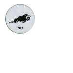 VB 6