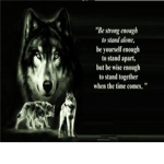 Wolves of the Silvermoon