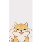 Dogs Doge doggy