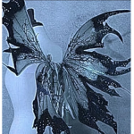 thirteendiorr