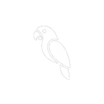 tom2ally’s parrots