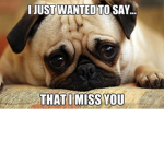 doggielove <3