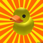 Duck fun club