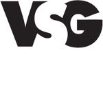 TEAM SINSAYAN GROUP (VSG)