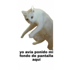 Nicol uwu