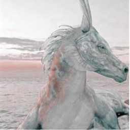 𝕚𝕞𝕒𝕘𝕚𝕟𝕒𝕥𝕚𝕠𝕟