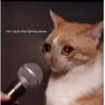 ριηк нσтεℓ