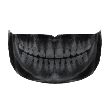 Creepy X-Ray Teeth Mask