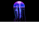 JELLYFISH LUVERS