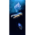 goku_2011