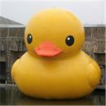 the epic ducks