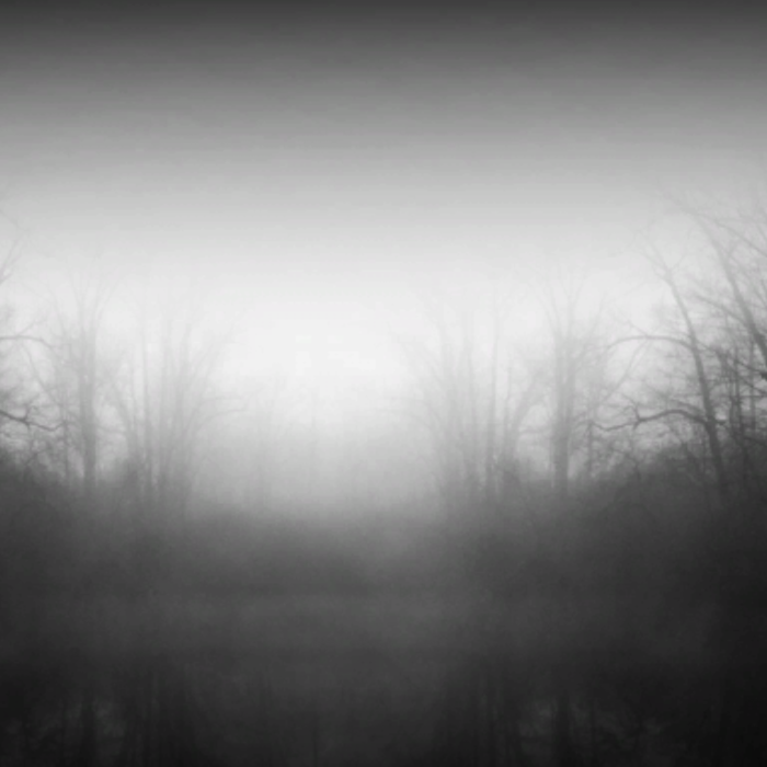 Dark Abandoned Dead Swamp