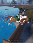 Stride away riding accademy