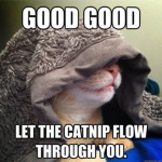 Darth Kitty’s Galactic Empire