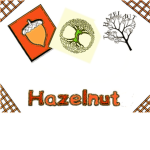 Hazelnut