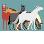 Unicorn squd