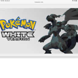 PokeBlox white