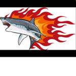 The sharks kingdom!!