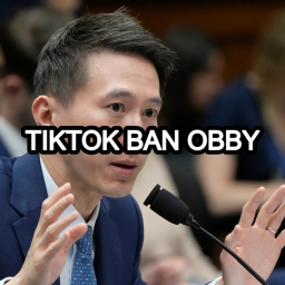 TikTok Banned Obby