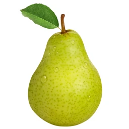 steven's OMEGA pear icon