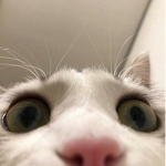 astroooot