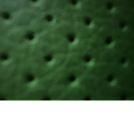 Team vert