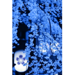 Rainbow_23