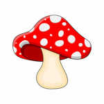 The Fungus Cartel