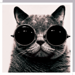 TCC (The Cool Cats)
