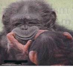 2 monkey gang