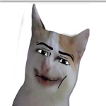Bruh Cat (Community)