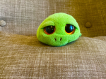 The Turtley nation