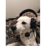 We Like Gaming Group
