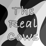 The Real Cows