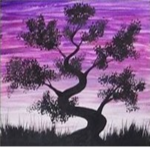 Bonsai Studio