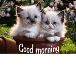 Internett BFF Paulina Nathalie