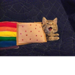 Warrio cats love club