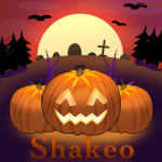 Shakeo Security Team