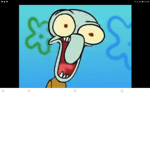 The offical squidward group
